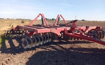 Disco Desencontrado DOLZANI